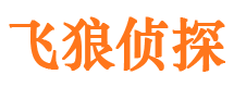 武邑侦探公司